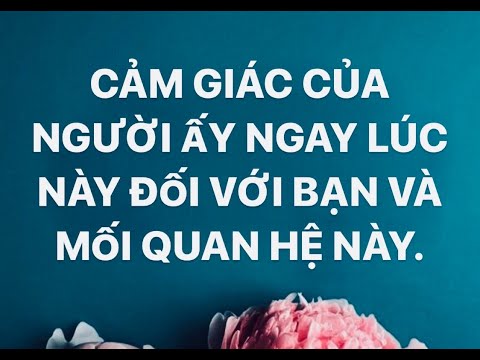Video #Tarot : CẢM GIÁC CỦA NGƯỜI ẤY LÚC NÀY ĐỐI VỚI BẠN VÀ... - youtube