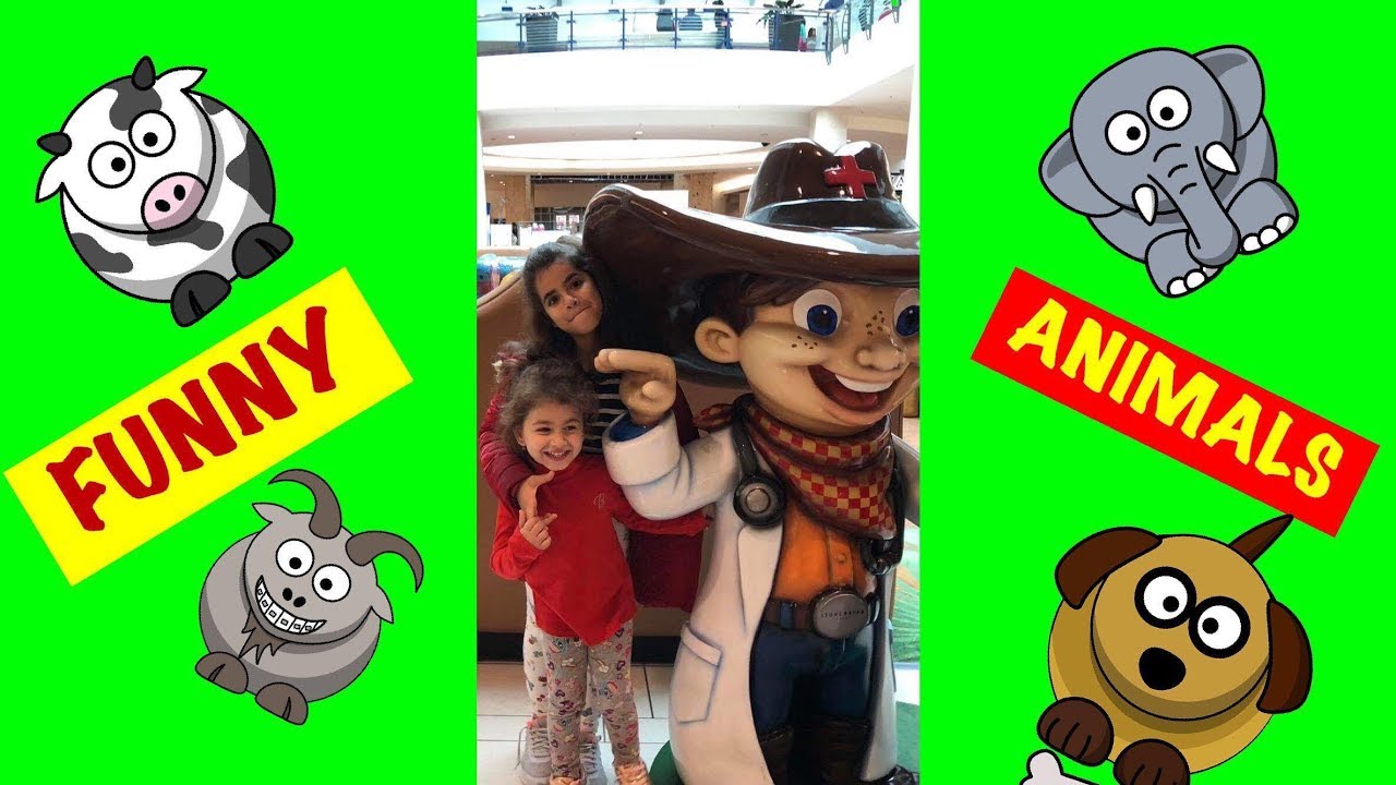 Animal sounds video for kids YouTube Animal sounds video for kids YouTube