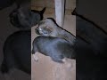 January 10, 2026