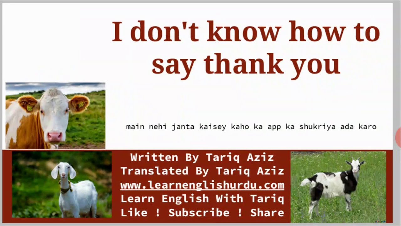 Eid Poem Written By Tariq ~ English Poem In Urdu