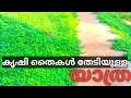 കൃഷി തൈകൾ തേടിയുള്ള ഒരു യാത്ര..😍