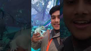 in This  I Explore The Mysterious Amazon Jungle And Discover Something Amazing