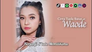Cinta Tiada Batas - Waode | VIDEO LIRIK