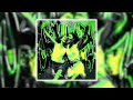 SEM NADA SLOWED 