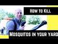 How to kill mosquitoes in your yard  (Look for the follow up part 2) coming soon!