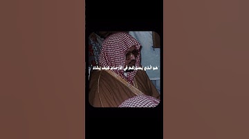 قرآن كريم بصوت الشيخ علي جابر #قران_كريم #علي_جابر