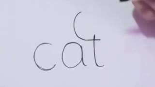 كيفية رسم قطة باستعمال كلمة cat