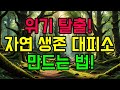 [미래준비] 자연환경에서 임시 대피소 만드는 방법