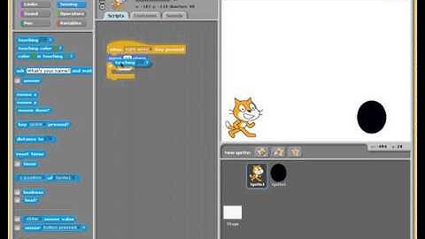 Scratch - Multiple Sprites