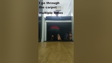 TLE performance task (Floor Cleaning)