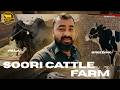 IS THIS THE BEST FARM IN PAKISTAN | SOORI CATTLE FARM TOUR &amp; QURBANI 2026 | VLOG 34