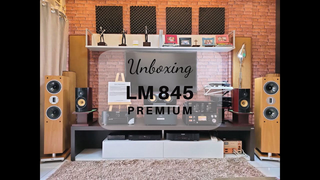 UNBOXING LINE MAGNETIC PREMIUM VACUUM TUBE SINGLE ENDED INTEGRATED AMPLIFIER SHERILLEEN CRUZ