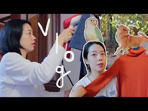 (광고)🌱224 Vlog I <strong>요즘</strong> 일상 브이로그 I 빈티지 판매 준비 I 개 <strong>산책</strong> I 미라클모닝 실패 I 딜팟 I 김갈릭