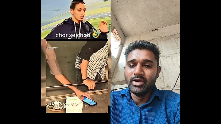 Video 11808431: don, funny dog cat talking