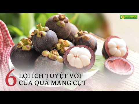 Video: Măng Cụt Là Gì