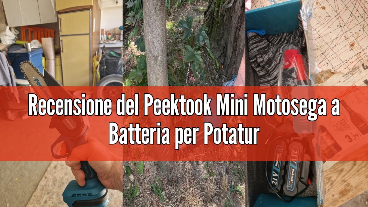 Recensione del Peektook Mini Motosega a Batteria per Potatura, 1000W Motore Brushless 6 Pollici Moto