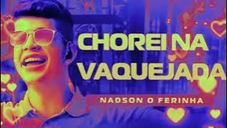 NADSON O FERINHA REPERTÓRIO NOVO