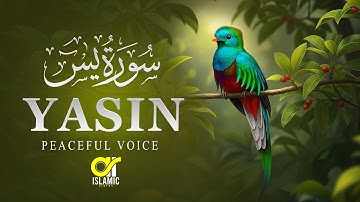 Relaxing Surah Yasin (Yaseen) سورة يس | Marvelous Heart touching Quran | EP -112  @islamicvideos.a.r