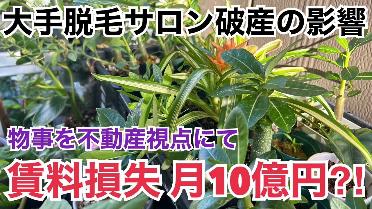 Breaking News] Monthly rental losses of 1 billion yen