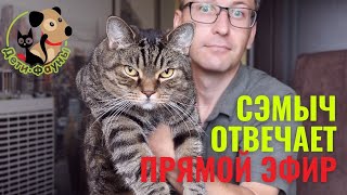 Ответы на вопросы о кошках и собаках 28.05.2023