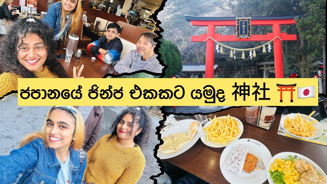 CoCo壱番屋 Lunch🥢| Suzuka Subaki Jinja⛩️ මාත් එක්ක යමු ජපන් ජින්ජ එකකට...