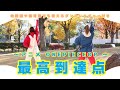 最高到達点☀️🌊【ダンスレクチャー付き】幼稚園・保育園で使える！SEKAI NO OWARI/ワンピース主題歌☠️🚢