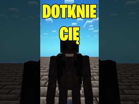 ON CHCE CIĘ DOTKNĄĆ W MINECRAFT