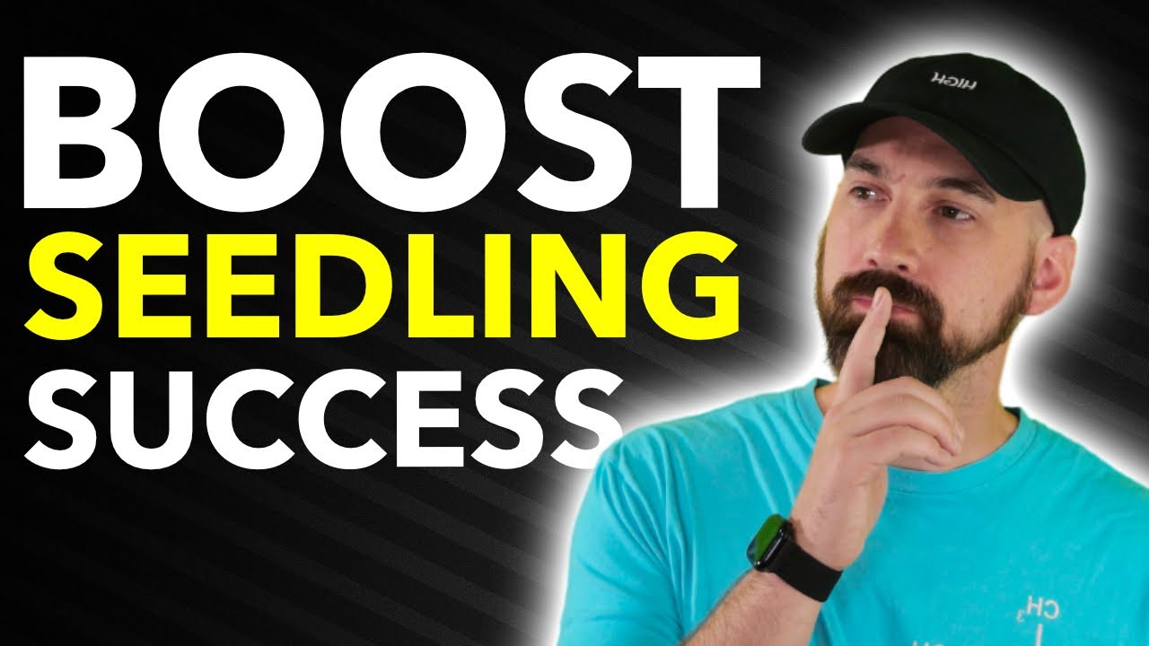 5 Tips For The Cannabis Seedling Stage!