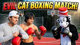 EVIL CAT IN THE HAT CHALLENGED US TO A BOXING MATCH | Dobre Brothers | Lucas and Marcus
