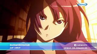 ANIMAX v011