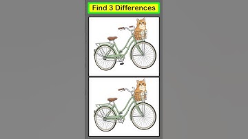 OMG! 99% FAIL This IMPOSSIBLE CAT Puzzle! 🔎 Find the 3 Differences Challenge!