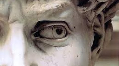 Trust Myself to Follow - John Vervaeke & Kevin Bowers