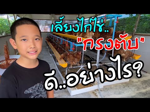 วีดีโอ: เมล็ดบีท: พันธุ์ที่ดีที่สุดสำหรับพื้นที่เปิดโล่งในภูมิภาคอูราลและมอสโก