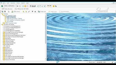 33 - SAP GRC - ARA - CREATING A RISK WITH APPROVAL