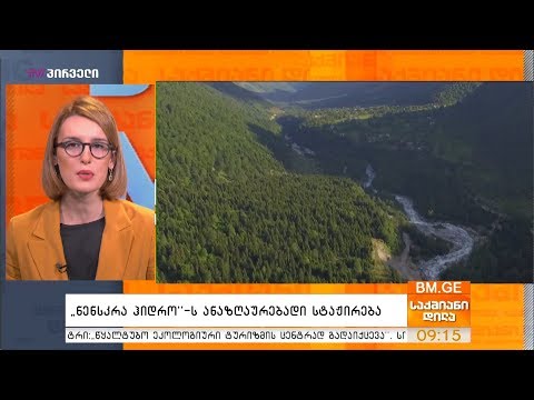 „ნენსკრა ჰიდრო“-ს ანაზღაურებადი სტაჟირება