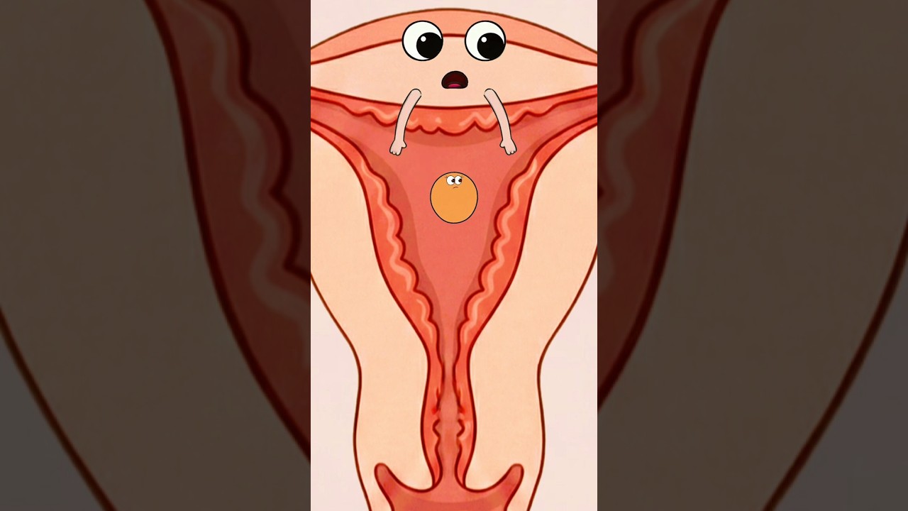 Implantation Failed &ndash; A Mother&rsquo;s Silent Pain | Periods| The Untold Story of Implantation Failure 💔