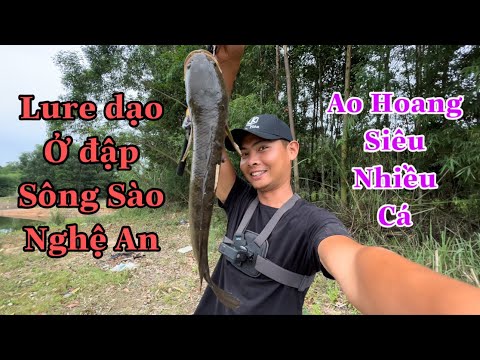 Video Lênh Đênh Sông Sào - Gặp Ao Hoang Siêu Nhiều Cá Lóc Ở... - youtube