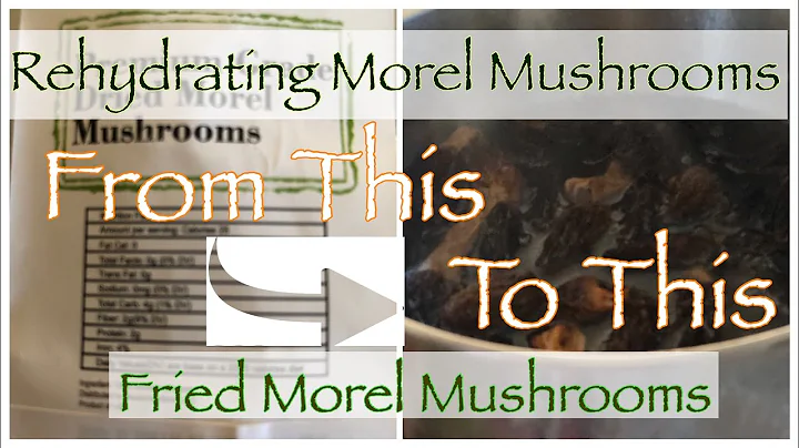 Come reidratare i funghi Morel deidratati | Cucinare con papà in stile del Midwest