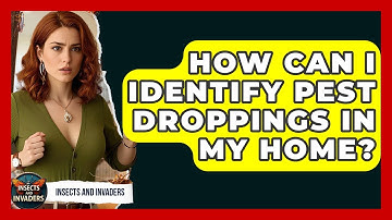 How Can I Identify Pest Droppings In My Home? - Insects and Invaders