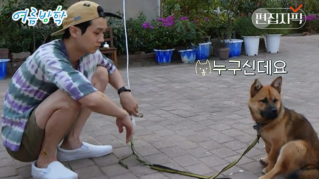 최우식 하찮고 귀여운 거 나만 알았으면... 사실 강아지도 알고 있음 | 