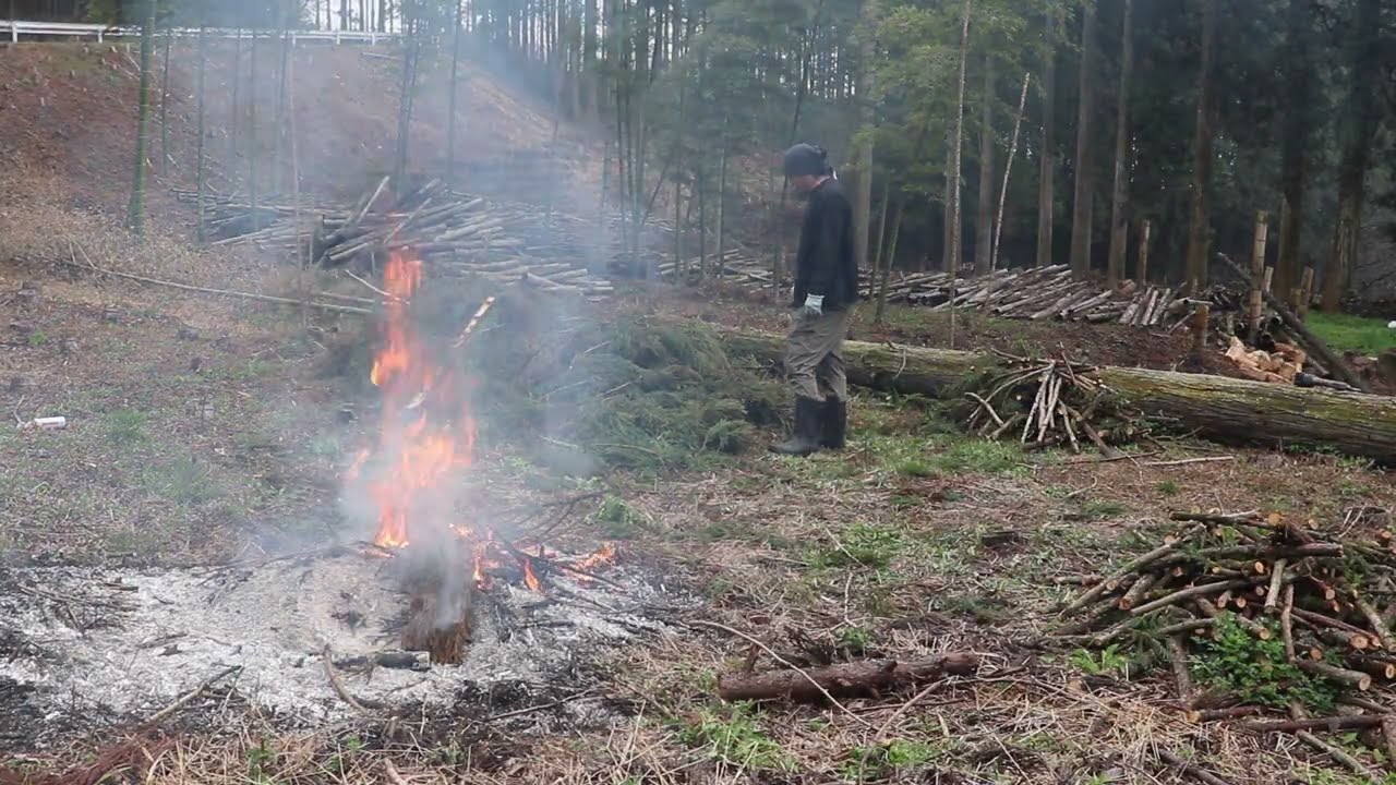 杉の葉焼却作業から切り倒した木を運び、家族総出で種を植え付ける