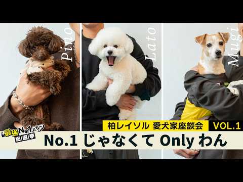 【柏レイソル】愛犬家座談会VOL.1〜No.1じゃなくてOnlyわん〜