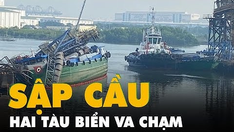 Hai tàu biển va chạm làm sập cầu cảng ở sông Thị Vải