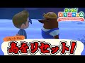 リセットさんに島をリセットしてもらってみた【あつまれどうぶつの森 Switch2 Edition】