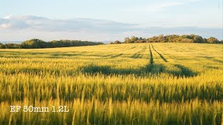 Panasonic Eva-1 - First Test Footage Pre Production - In 4K Raw V-Log