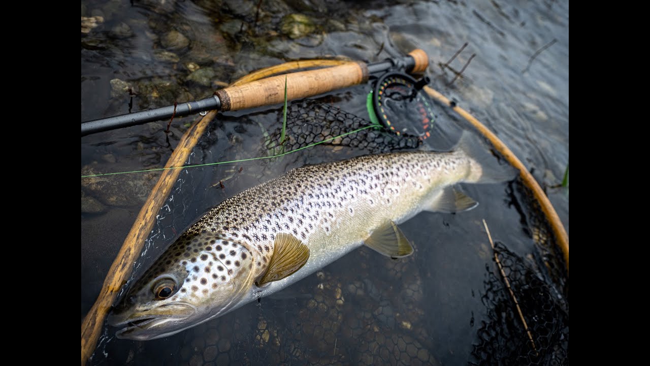 Ouverture Truite 2023