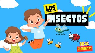 ¡LOS INSECTOS! Video EDUCATIVO | para NIÑOS