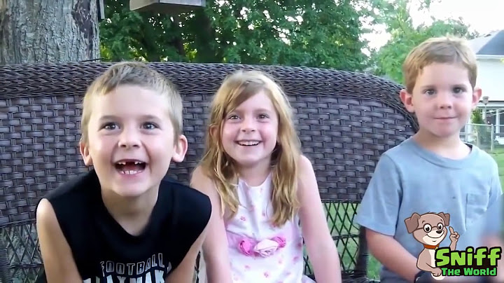 BEST OF KIDS'S SURPRISE REACTIONS to Pregnancy Announcement Compilation