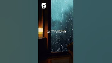الآيات من 25 إلى 29 من سورة الفرقان #وديع_اليمني