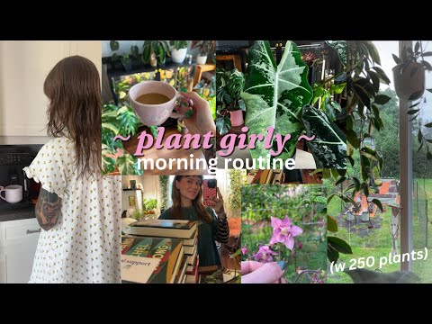 my morning routine with 250 houseplants 🌿🌞☁️